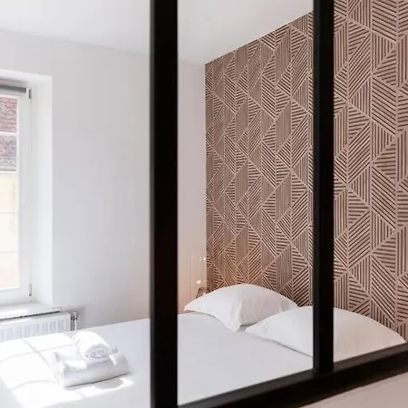 Appartement L'Alerion Nanceien - Appt Pour 2 A Nancy Extérieur photo